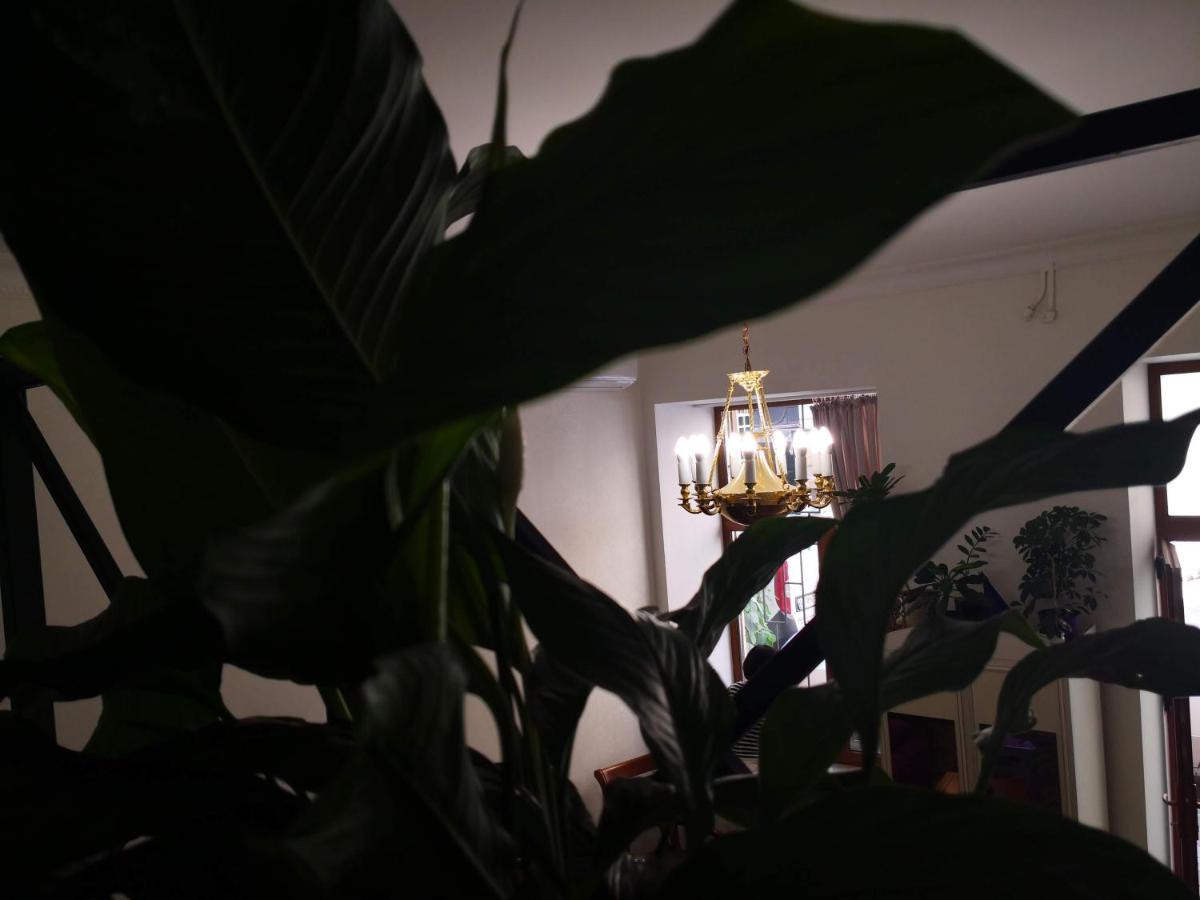 Затишні Апартаменти, Вулиця Дерибасівська, 13 Odessa Zewnętrze zdjęcie